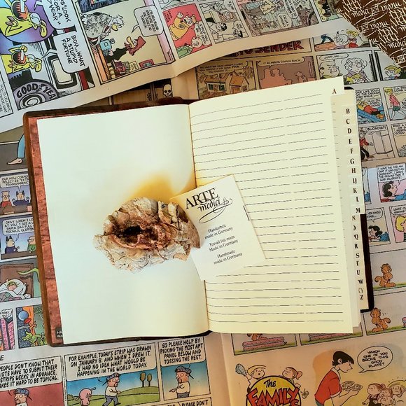 ARTE Medici Collection, Handmade Wood Leather guest book - Picture 5 of 14